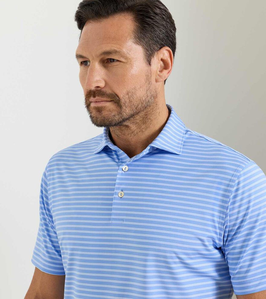Ashford Performance Jersey Polo BLUEBIRD